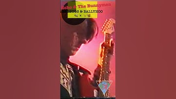 Thumbnail of Echo & The Bunnymen BedBugs & Ballyhoo  #rock #80sband #rocknroll