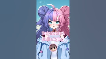 Can Science Slow Down Aging?