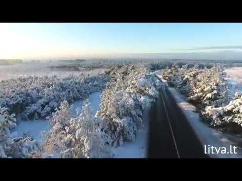 Куршская Коса Зимой Фото