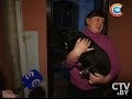 Лай раздора: что делать, когда соседская собака не дает спокойно спать