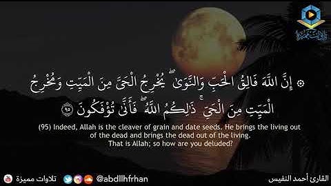 احمد النفيس - تلاوة يتدفق منها الإبداع والروعة || ‏﴿ إِنَّ اللَّهَ فَالِقُ الْحَبِّ وَالنَّوَى ﴾