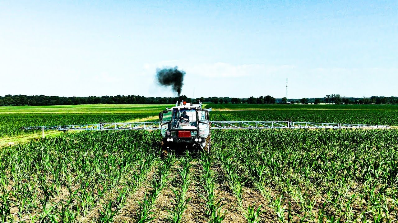 🌽OPRYSKI NA 2 OPRYSKIWACZE 😱!!! PRYSKANIE KUKURYDZY 2024🔥 RSP WYDROWICE🌽 AGRIFAC🟥&WAŻKA🟦