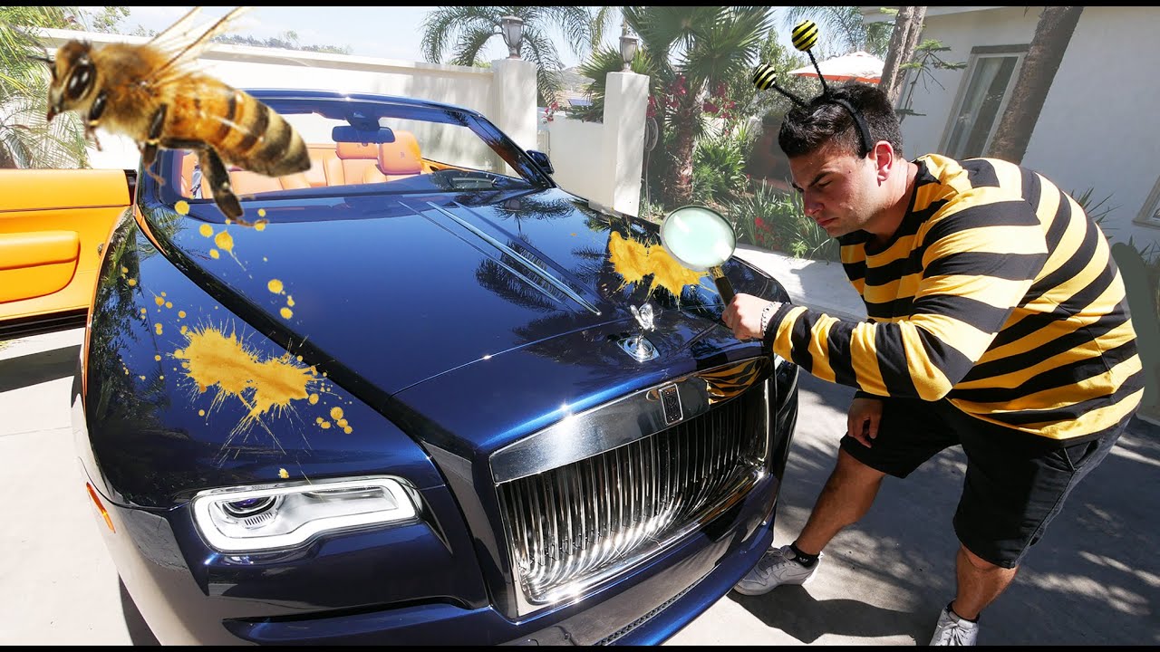 What Is Bee Poo And Why The Hell Is It Always On My Car YouTube What Is Bee Poo And Why The Hell Is It Always On My Car YouTube