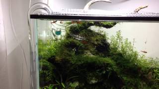 ADA MINI-M - UPDATE