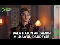 Seenaa Milkaa Ina ÖZGE TORER ÖZGE TORER Success Story Hundeyfamaorhan Seenaa Milkaa Ina ÖZGE TORER ÖZGE TORER Success Story Hundeyfamaorhan