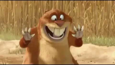 video ngắn con chuột hài hước nhất thế giới