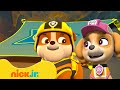 PAW Patrol's Bouncy Trampoline Rescue Missions! w/ Ryder | 10 Minutes | Nick Jr.