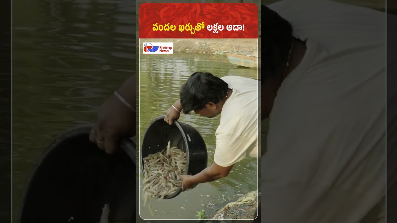 Water Testing: The Smart Investment Every Shrimp Farmer Must Make