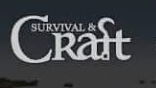 Survival & craft games end/Final level (Level 25 max) screenshot 5