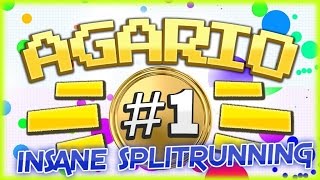 Mafia REAL TIME SPLITRUNNING // INSANE AGARIO GAMEPLAY