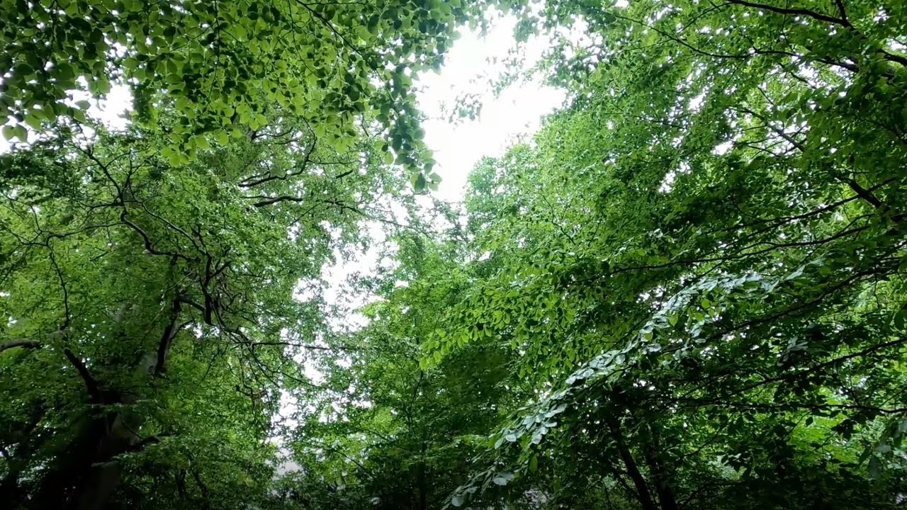 Łukasz Lamża: Dlaczego nie jestem ateistą? [FILOZUJ #6]