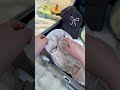 Stop Packing Messily! 🛑 Best Travel Underwear Organizer 🧳 #Shorts #TravelHack