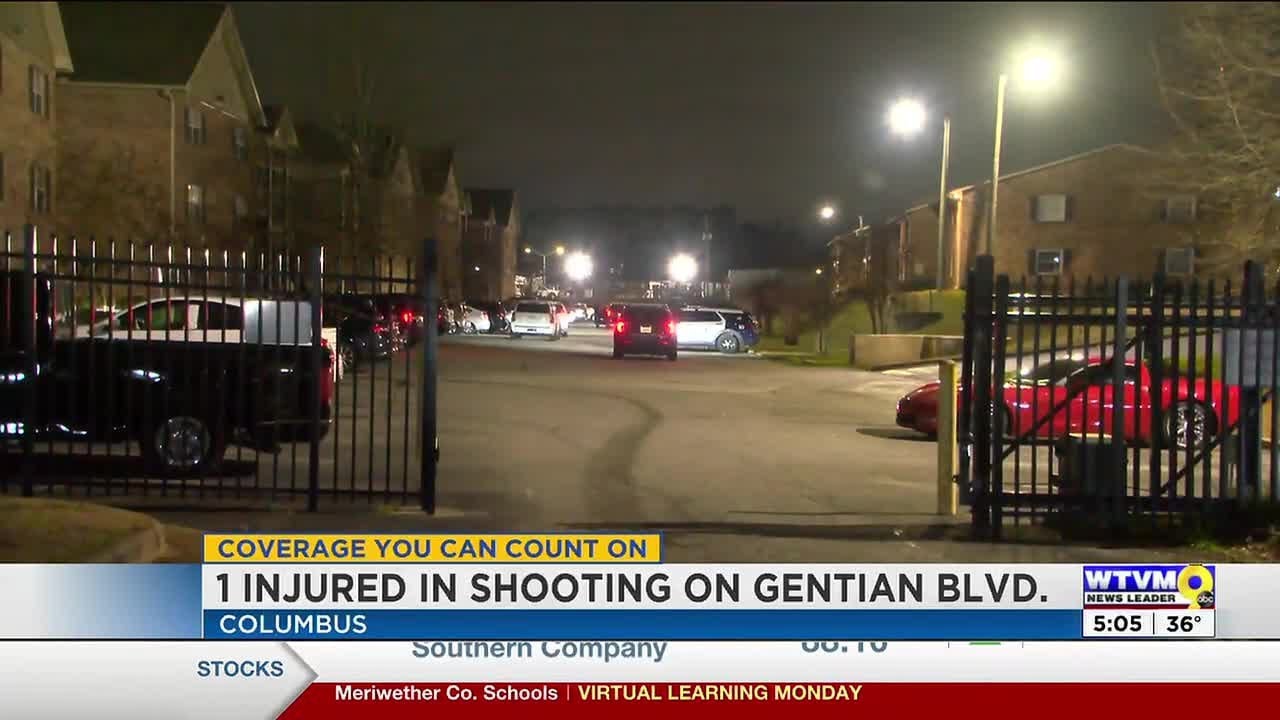 1 person injured in shooting on Gentian Blvd in Columbus - YouTube
