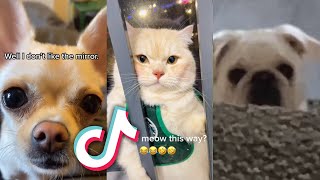 The CUTEST EVER TikTok ANIMALS AND PETS...