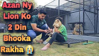 Azan any Lion Ko 2 Din Kuch nai Khilaya Maine Lion Wapis Mang Lia 😐 | Nouman Hassan |