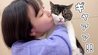 夜中に大暴れする息子猫に猫吸したら効果がありすぎたw