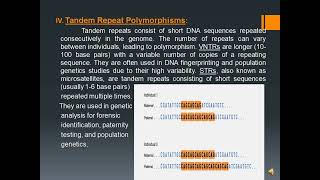 Genetic polymorphism | polymorphism