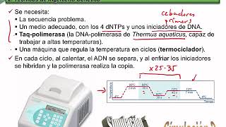 2ºBach T20 2