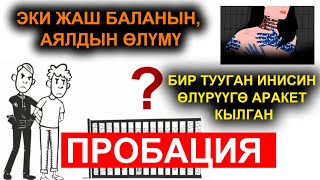 ПРОБАЦИЯ КӨЗӨМӨЛҮНДӨГҮ ЖАРАН КЫЛМЫШКА БАРГАНБЫ?  /  ТОЛУК, ТАК МААЛЫМАТ