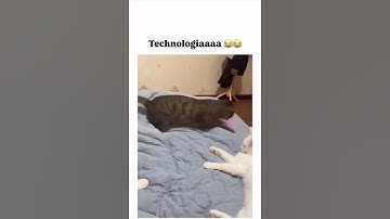 Smartest Cat Ever?! Switches Off Light Using Laser 😹🔴 #Technologia
