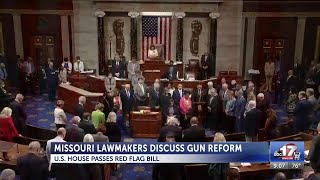 Missouri lawmakers comment on red flag bill passed out of U.S. House