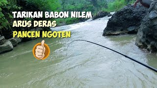 STRIKE BABON NILEM ARUS DERAS SUNGAI MEDONO JORAN MELENGKUNG INDAH || Mancing Nutul