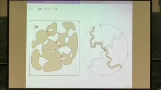Laure Dumaz | Renormalization Approach to the 2-Dimensional Uniform Spanning Tree