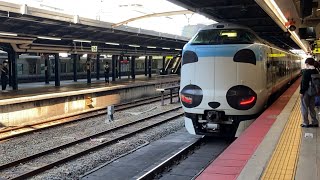 【パンダくろしお】JR西日本 287系 HC605編成 特急くろしお号 天王寺駅 入線