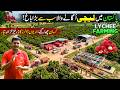 Pakistan’s Biggest Lychee Farm 🍒 | Million Dollar Fruit Farming in Pakistan - Discover Pakistan