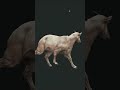 RARE FEMALE 😍😍😍 | The Hunter: Call of The WILD