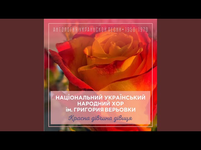 Туман яром, туман долиною