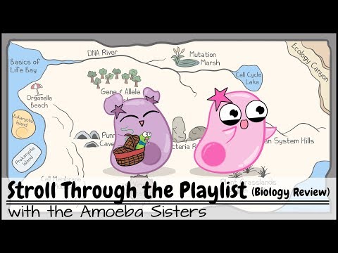 Stroll Through the Playlist (a Biology Review)