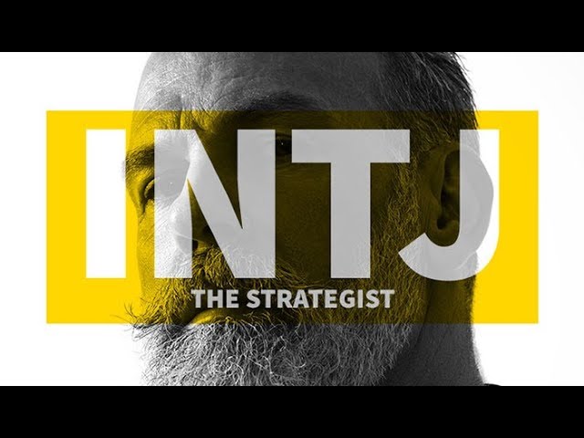 Myers Briggs INTJ - The Strategist