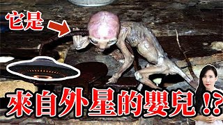 它是來自外星的嬰兒！？ | 馬臉姐