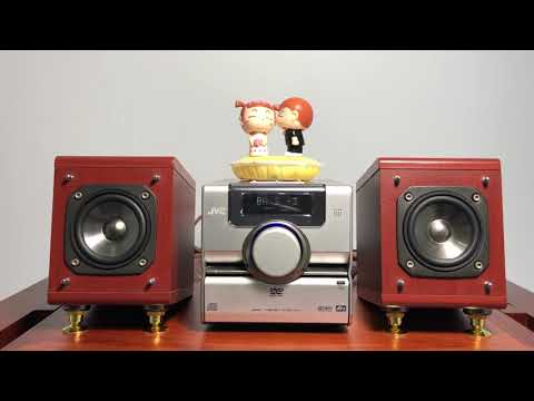 Video JVC FS Y1 - youtube