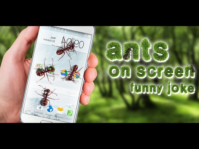 Ants On Screen Funny Joke - Android Application - YouTube