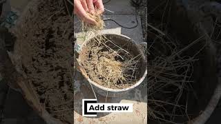 How To Make Daub.