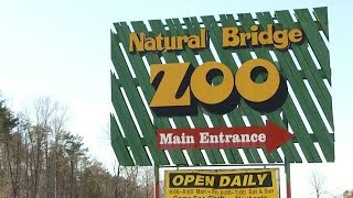 Natural Bridge Zoo Under New Ownership