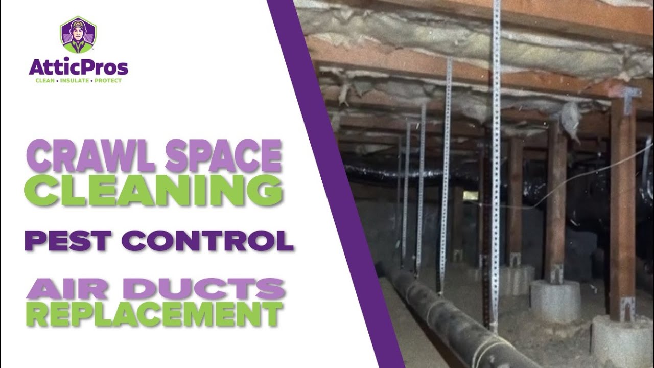 Crawl Space Cleaning, Air Ducts Replacement, Pets Control