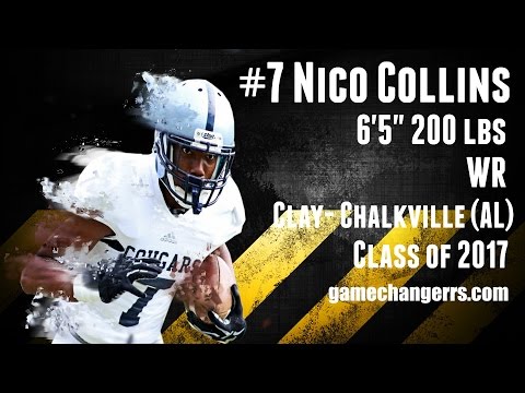 Nico Collins (+)