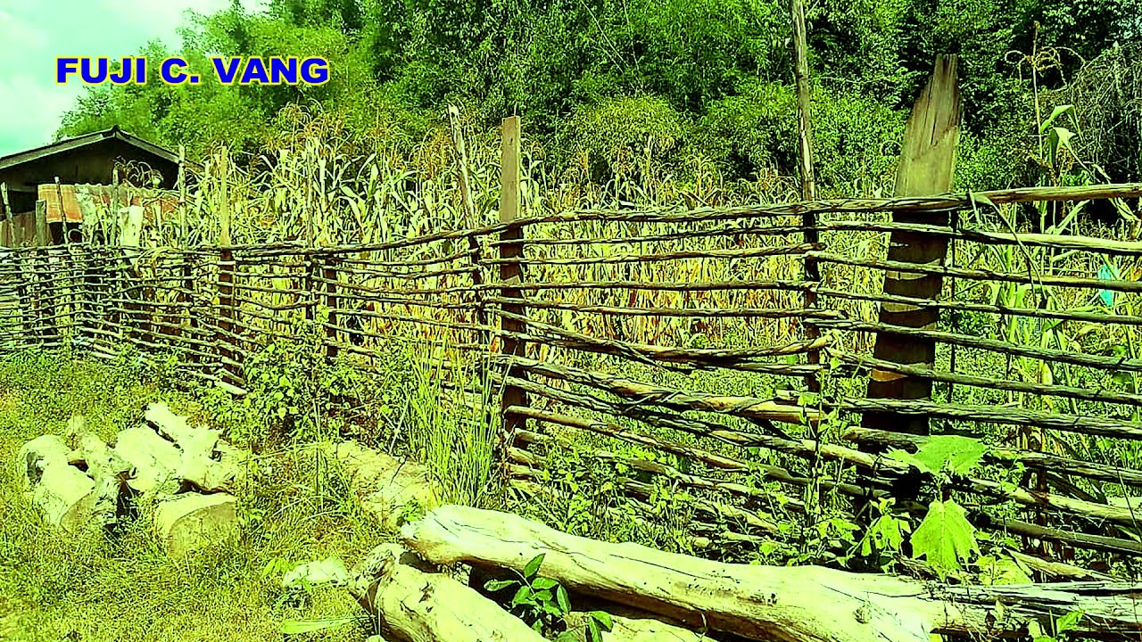 Xwm Txheej Qub Nyob Nplog Teb