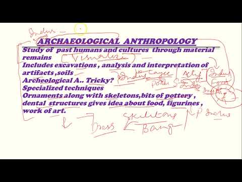 archaeological anthropology