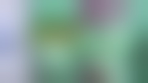 2 Shuric Scans With Are Slides Vs Shuric Scan TEH Fan 2020