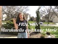 Friends- Marshmello and Anne-Marie (ASL/ PSE COVER)