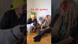 Novas "palavras mágicas"? 🐕🤷🏼‍♀️🤷🏻‍♂️ #dog #funny  #sixseven #feli #felizcomtbfx