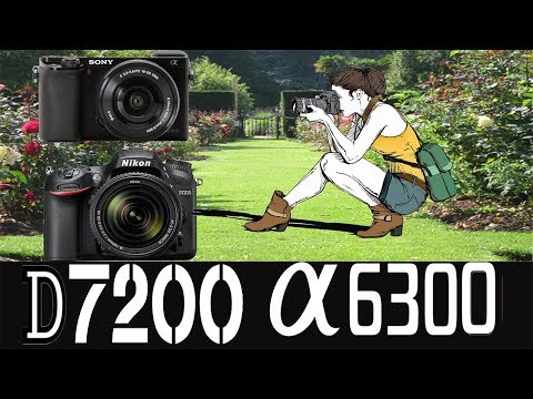 Sony A6300 vs Nikon D7200 I Nikon D7200 vs Sony Alpha a6300
