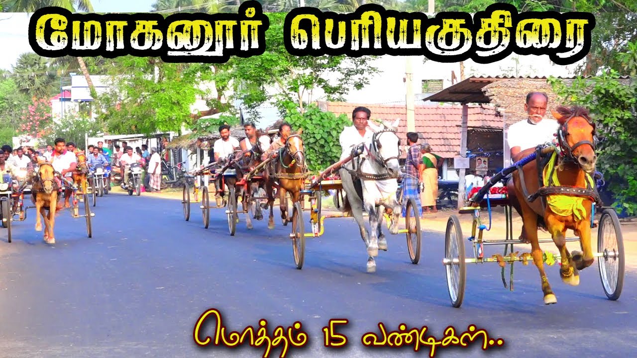 1நாமக்கல்-மாவட்டம் மோகனூர்--25 ஆயிரம்=பந்தயம்-26/02/2024