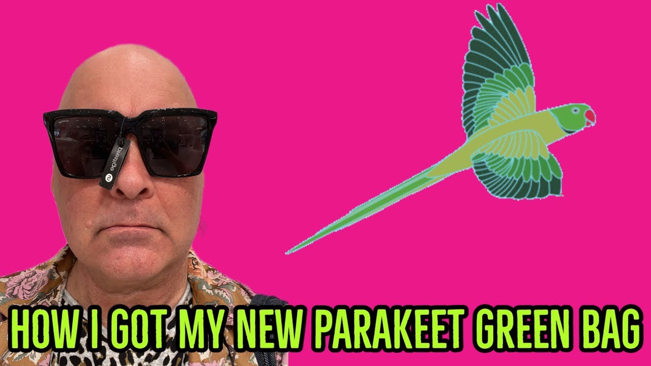 HOW I GOT MY NEW PARAKEET GREEN BAG MusicLovers RetailTherapy 