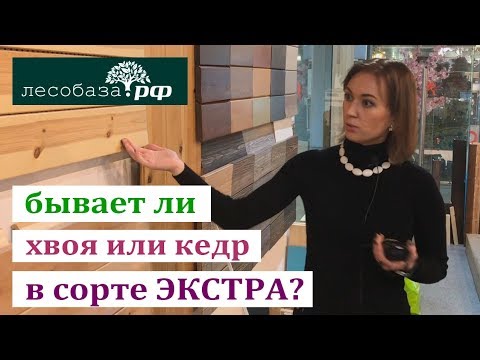 Вагонка из хвои