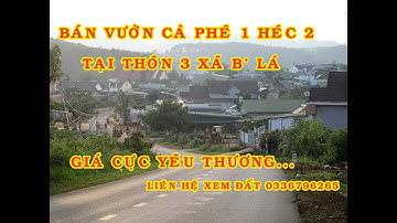 Bán Vườn Cà Phê 1 Héc 2 Tại Thôn 3 Xã B